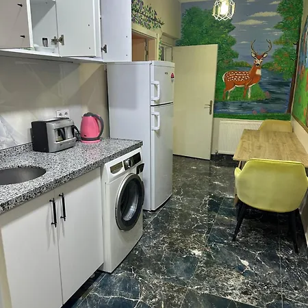 Isil Old Lejlighedshotel Istanbul
