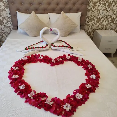 Isil Old Lejlighedshotel Istanbul